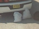 bags.jpg